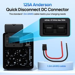 ECO-WORTHY 48V 100A Charger Suitable for 120/240V Generators Fast Charging