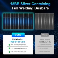 AeternaSol 200W Bifacial Solar Panel 12V N-Type Mono PV RV Home Off-Grid Battery